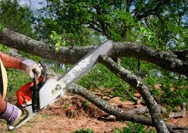 Best Commercial Tree Services  in Preston Heights, IL